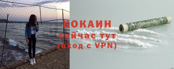 первитин Богородицк