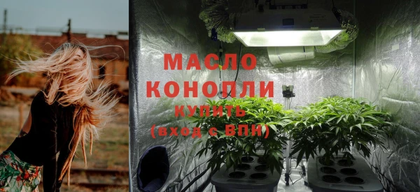 первитин Богородицк